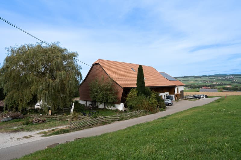 exterieur2.jpg