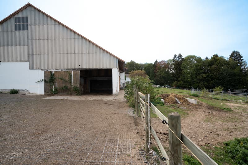 Exterieur.Chevaux.jpg