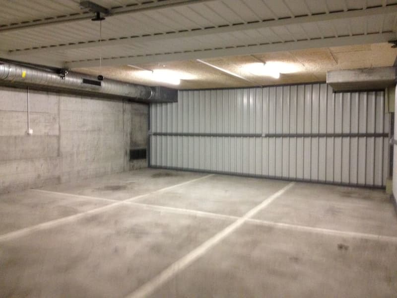Foto_1.JPG