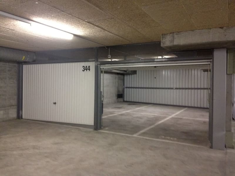 Foto_3.JPG
