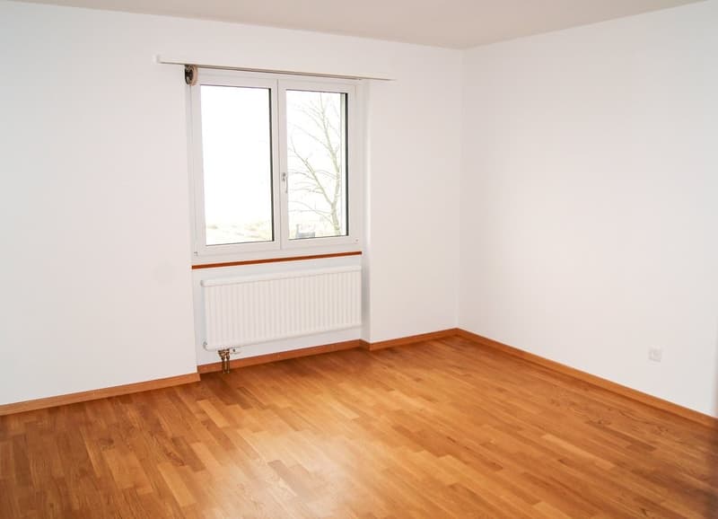 Zimmer
