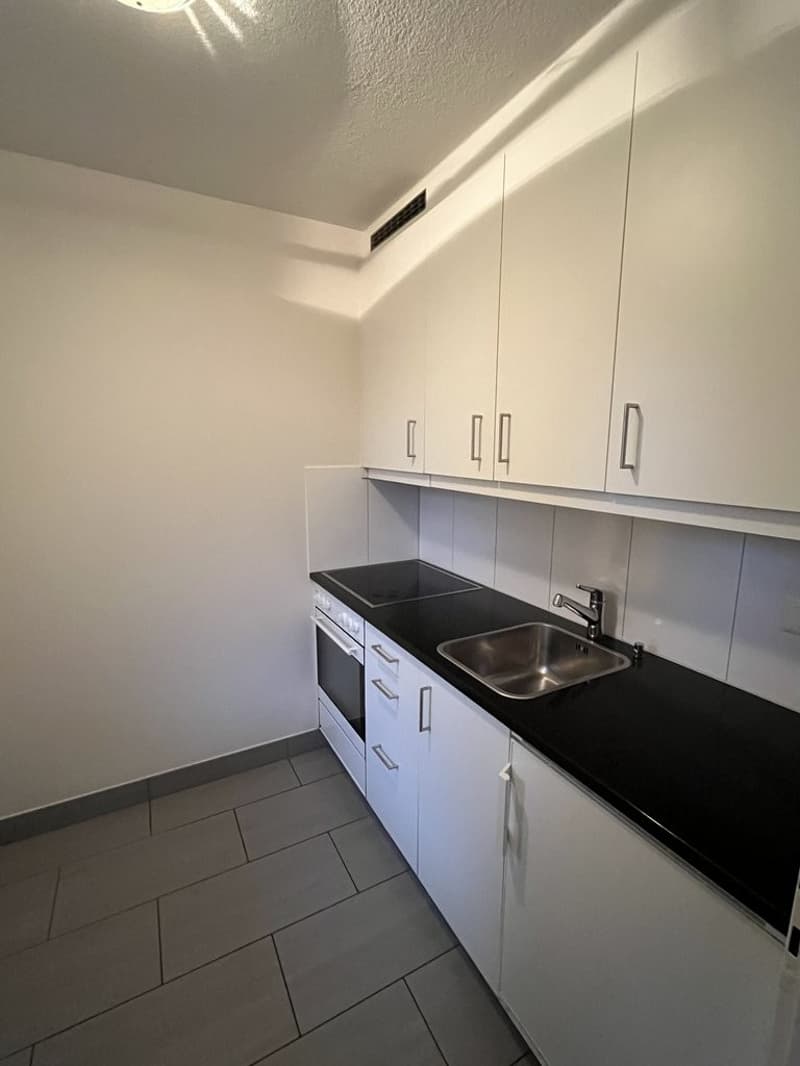 Appartamento al pianterreno con terrazza in affitto (2)