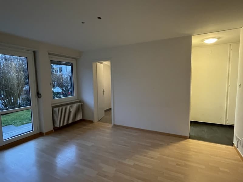 Appartamento al pianterreno con terrazza in affitto (4)