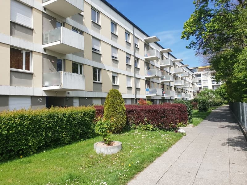 Appartamento al pianterreno con terrazza in affitto (6)