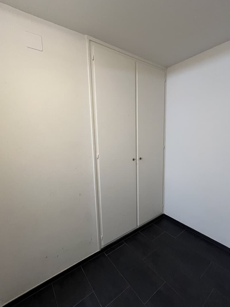 Appartamento al pianterreno con terrazza in affitto (5)