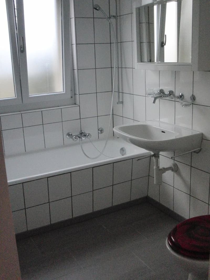 Bad2_neu_012011.JPG