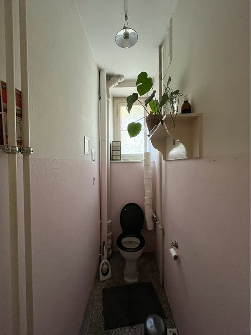 6.jpeg