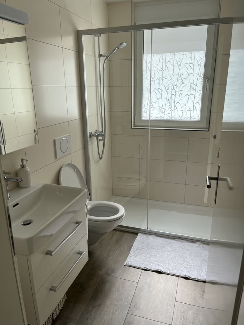 Modernes Wohnen nahe der Aare (5)