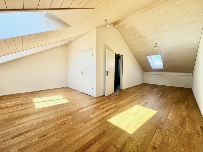 empty room, wooden floor, white walls, two doors, two skylights