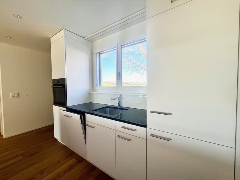 modern kitchen with white cabinets, black countertops, stainless steel sink, dishwasher, oven, wooden floor