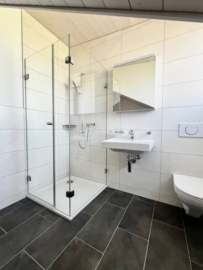 modern bathroom with glass shower, white sink, white toilet, white tiles, silver fixtures