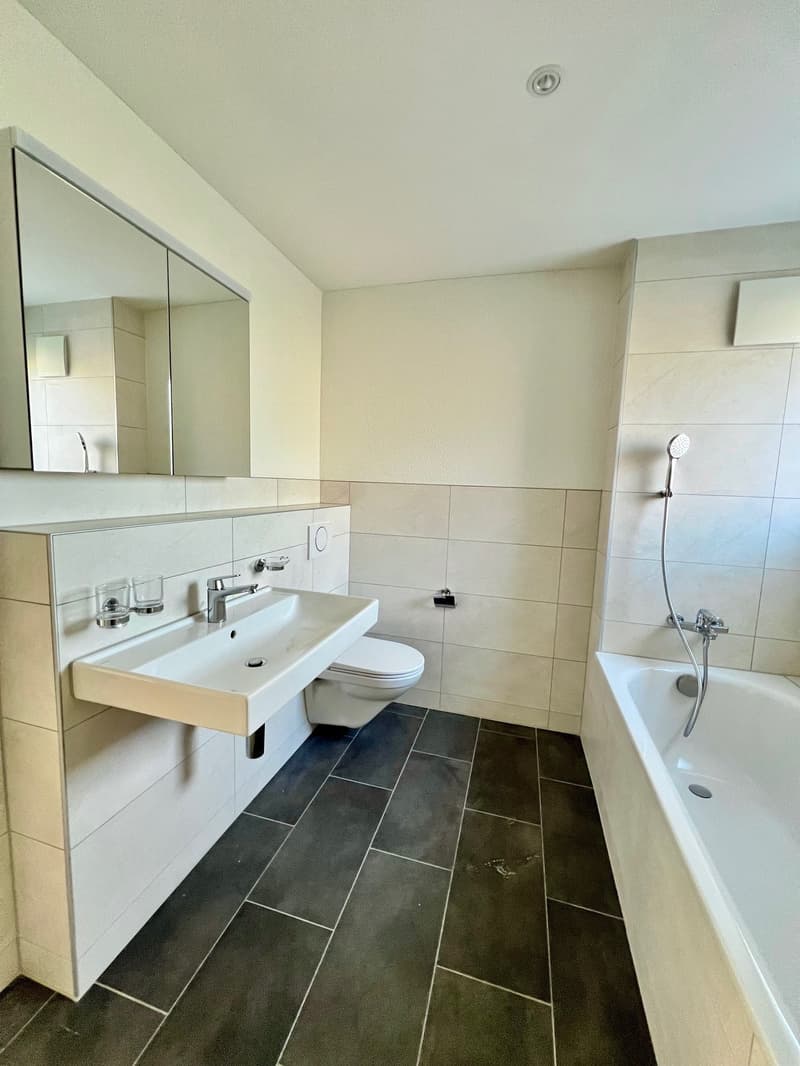 Bathtub, sink, mirror, toilet, floor tiles, showerhead