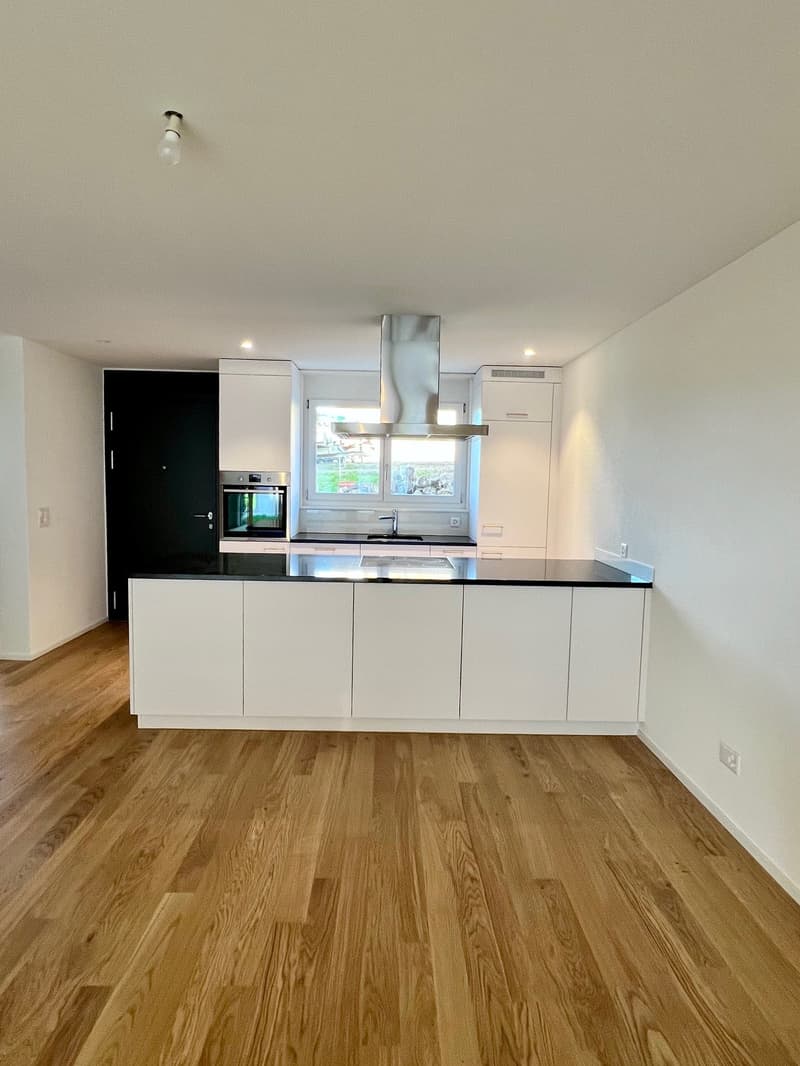 Modern kitchen with island, white cabinets, black countertops, stainless steel appliances, extractor hood, wooden floor