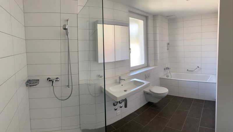 Large bathroom with white tiled walls, glass shower enclosure, vanity sink, and toilet. The bathroom has a modern and clean design.