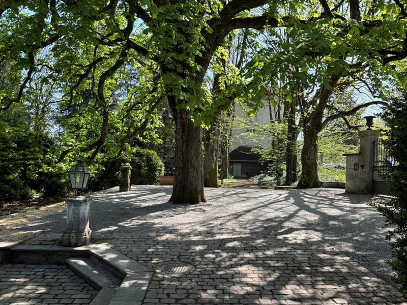Area parcheggio privata - Vivere con charme e unicità (22)