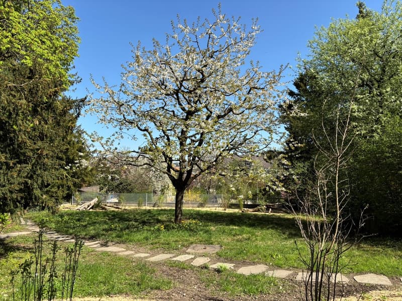 Proprio parco - Vivere con charme e unicità (18)