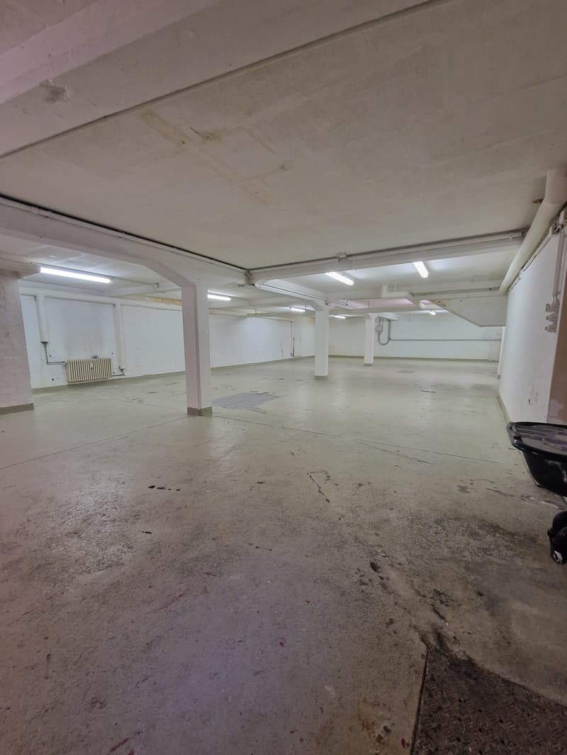 Spacious hobby room in the basement on Zwinglistrasse, Bern (5)