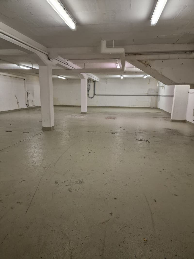 Spacious hobby room in the basement on Zwinglistrasse, Bern (4)