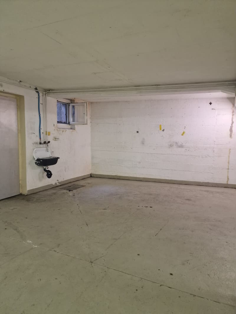 Spacious hobby room in the basement on Zwinglistrasse, Bern (3)