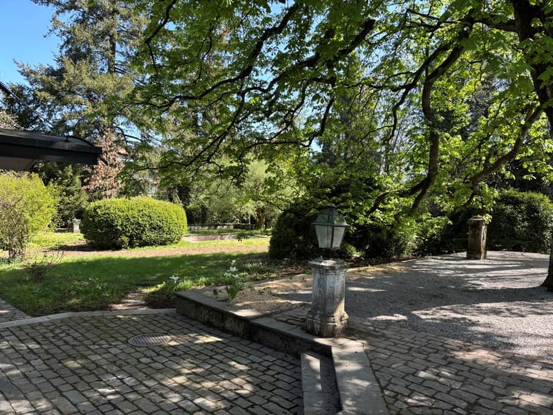 Proprio parco - Vivere con charme e unicità (14)