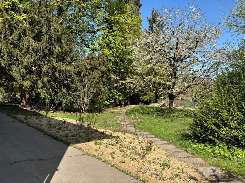Proprio parco - Vivere con charme e unicità (15)