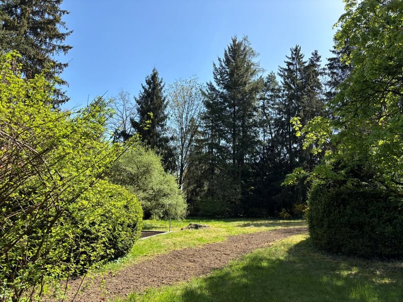 Parco privato - Vivere con charme e unicità (23)
