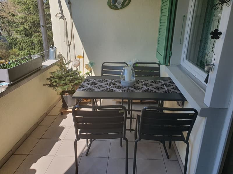 Affascinante appartamento 2 locali con terrazza in posizione centrale (1)