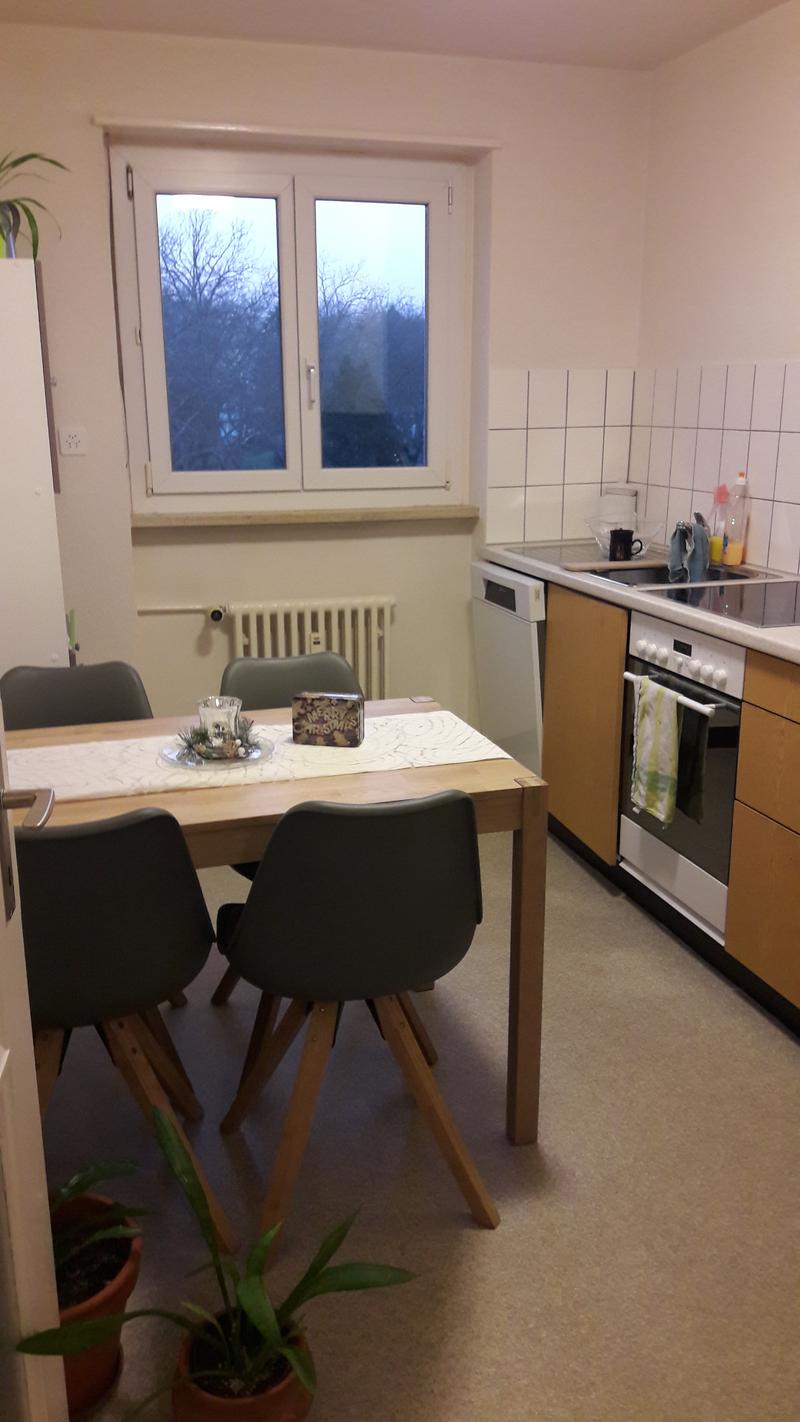 Affascinante appartamento 2 locali con terrazza in posizione centrale (10)
