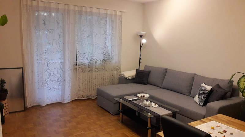 Affascinante appartamento 2 locali con terrazza in posizione centrale (2)