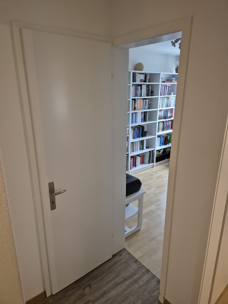 Appartamento a 4 locali adatto alle famiglie con balcone (12)