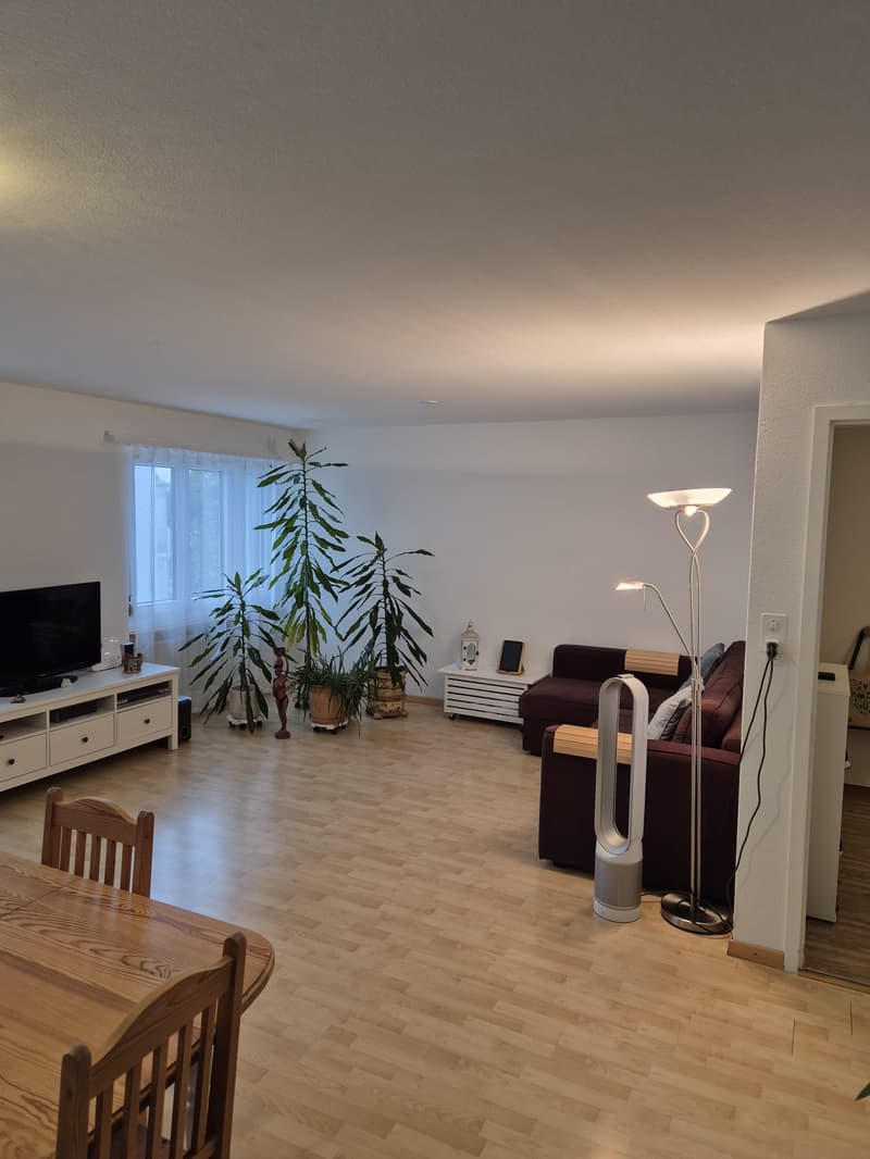 Appartamento a 4 locali adatto alle famiglie con balcone (1)