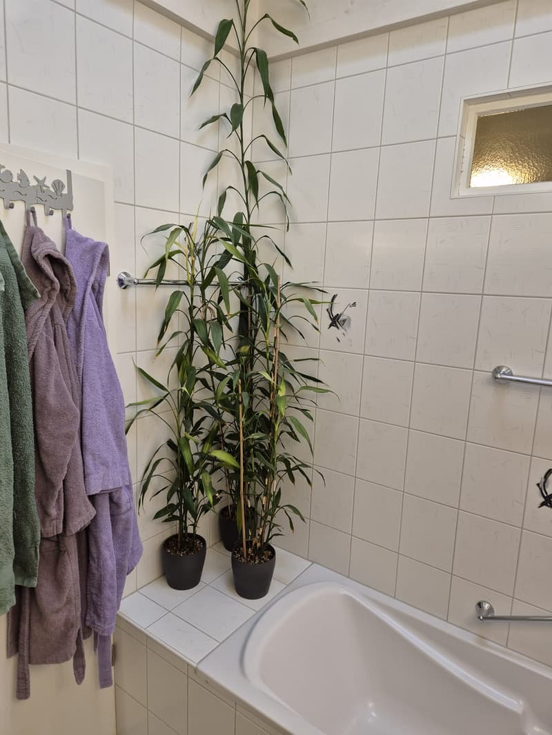 Appartamento a 4 locali adatto alle famiglie con balcone (8)