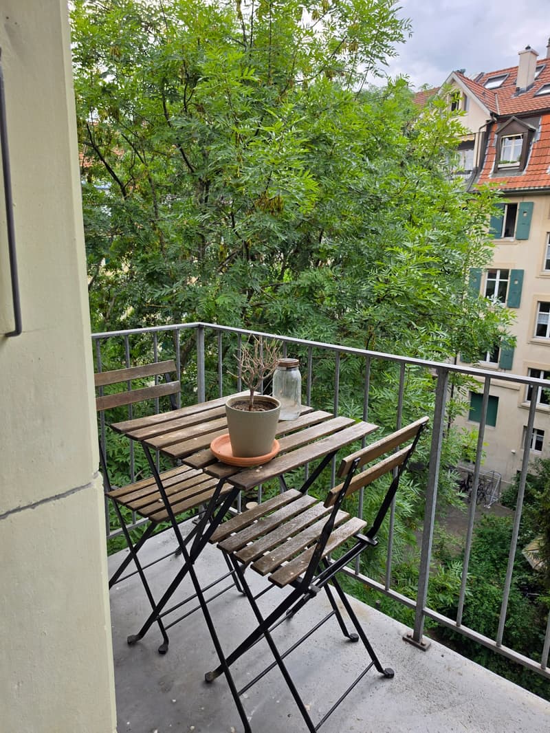 Charming 2.5-room apartment with balcony in the Breitenrain quarter, Bern (4)