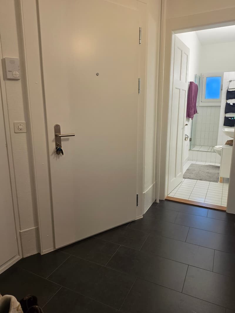 Charming 2.5-room apartment with balcony in the Breitenrain quarter, Bern (6)