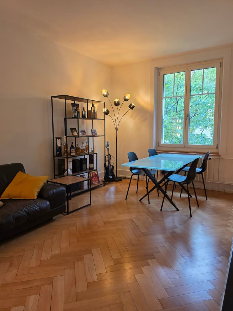 Charming 2.5-room apartment with balcony in the Breitenrain quarter, Bern (7)