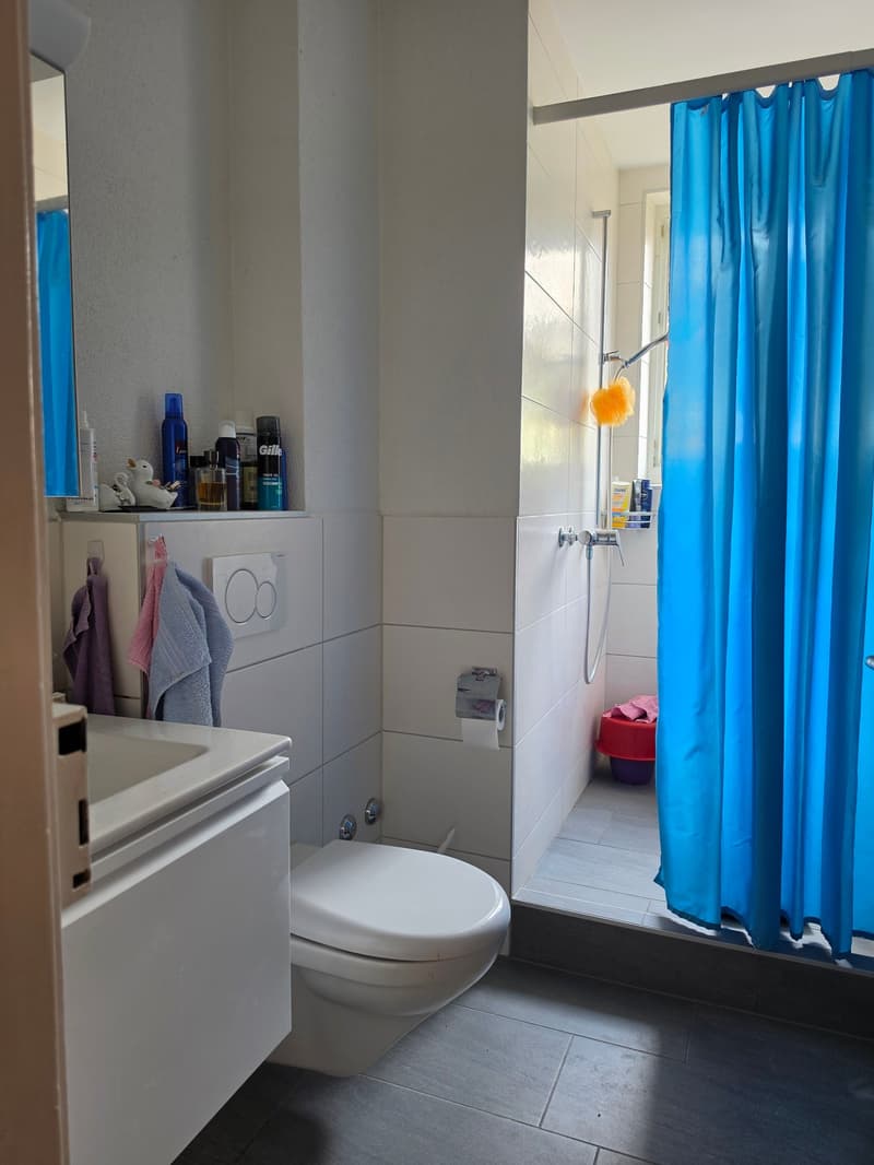 Appartamento accogliente di 3 locali con balcone a Bern-Bümpliz (10)