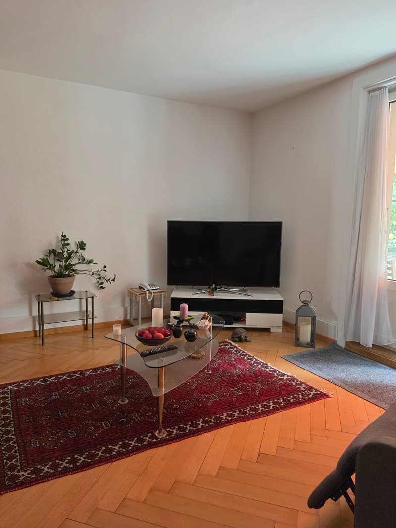 Appartamento accogliente di 3 locali con balcone a Bern-Bümpliz (6)