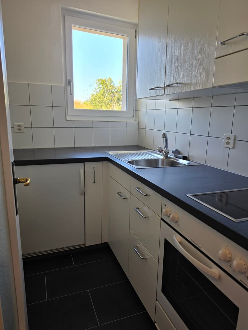 Charmante 1.5-Zimmer-Wohnung in ruhiger Lage in Bern (4)