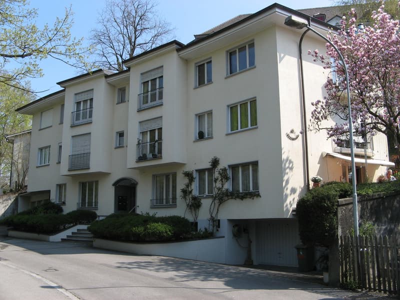 Charmante 1.5-Zimmer-Wohnung in ruhiger Lage in Bern (1)