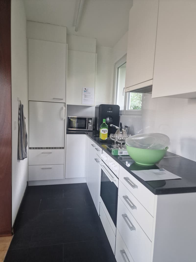 Grosszügie 1-Zimmer-Wohnung mit Kamin und Balkon in Bern (1)