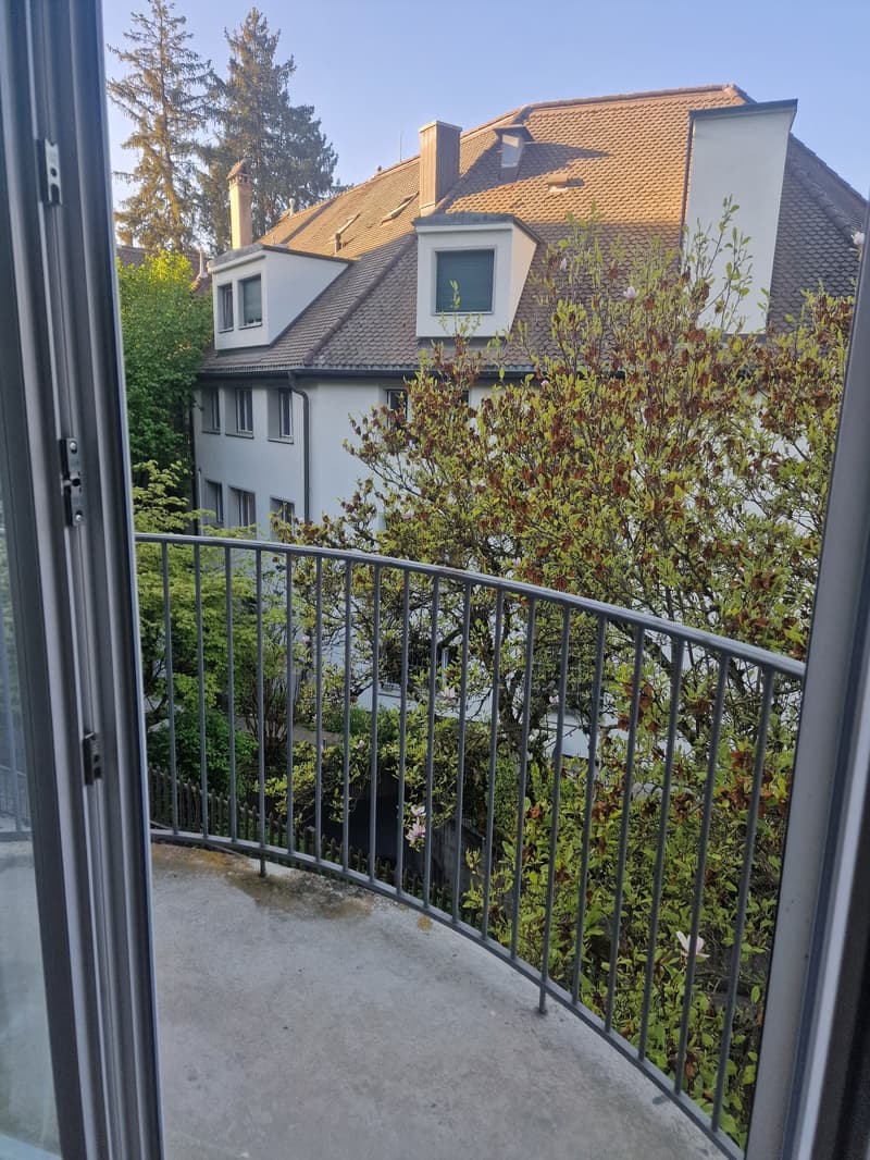 Grosszügie 1-Zimmer-Wohnung mit Kamin und Balkon in Bern (7)
