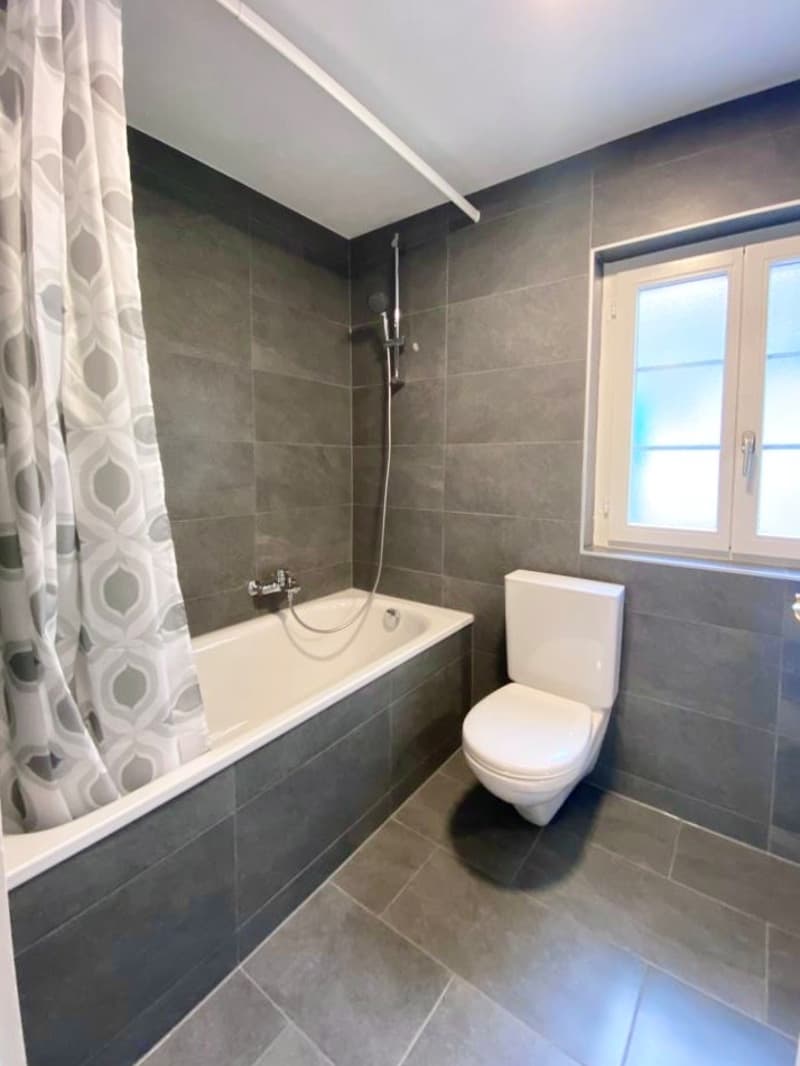 Appartement de 4.5 pièces Rue du Pont-Suspendu 22 (8)
