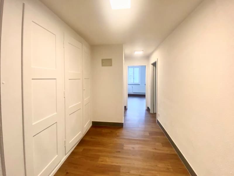 Appartement de 4.5 pièces Rue du Pont-Suspendu 22 (9)