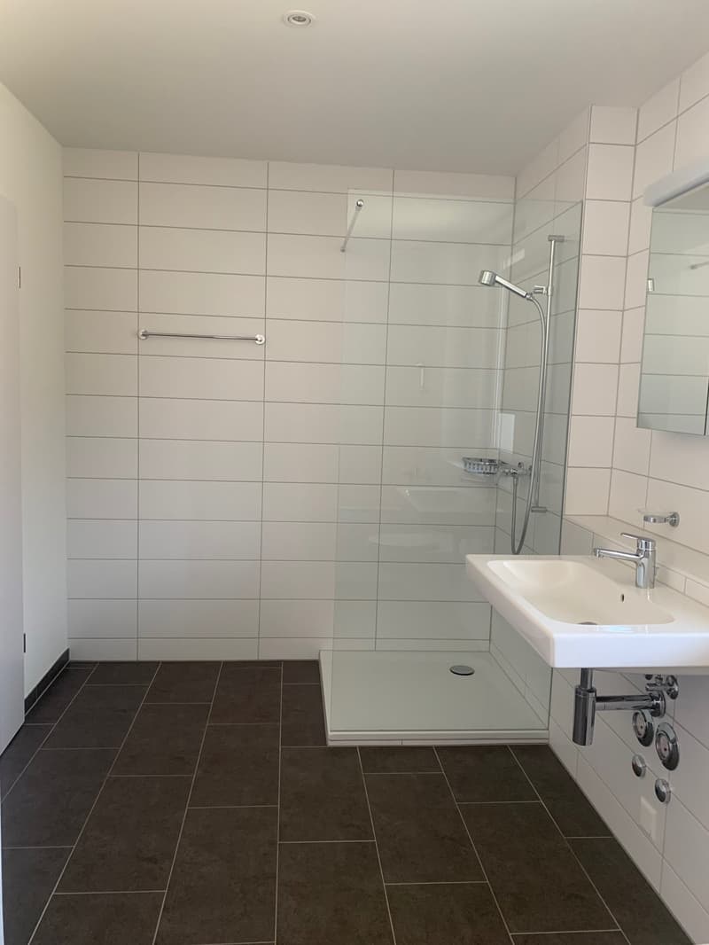 Appartement mansardé de 3.5 pièces (8)