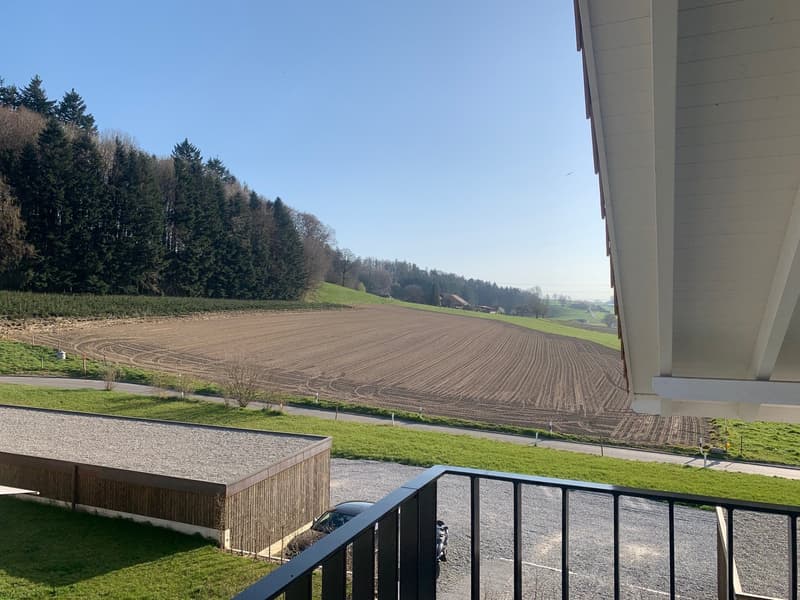 Appartement mansardé de 3.5 pièces (3)