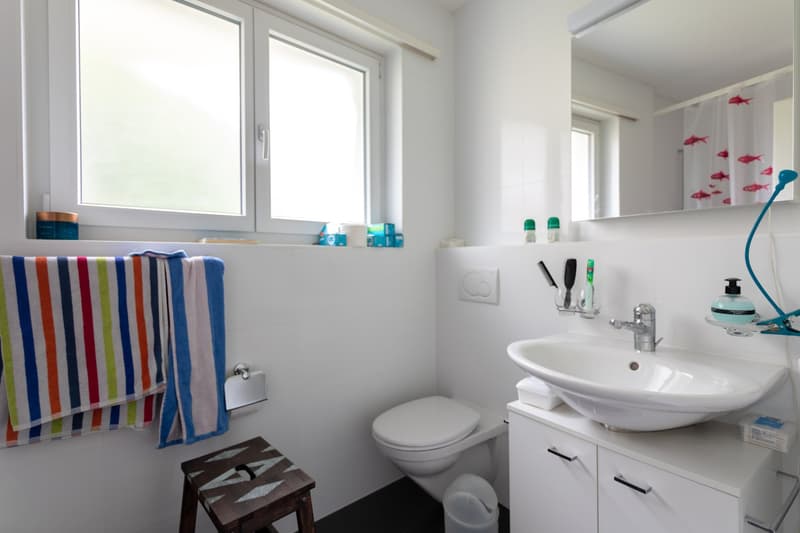 Grosszügie 1-Zimmer-Wohnung mit Kamin und Balkon in Bern (4)