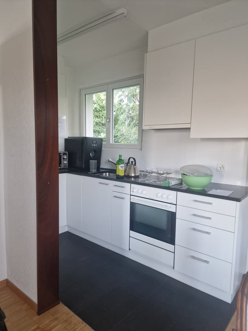 Grosszügie 1-Zimmer-Wohnung mit Kamin und Balkon in Bern (3)