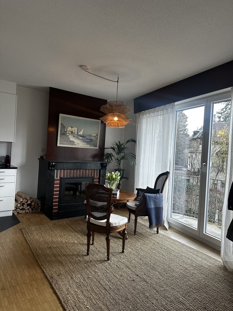 Grosszügie 1-Zimmer-Wohnung mit Kamin und Balkon in Bern (5)