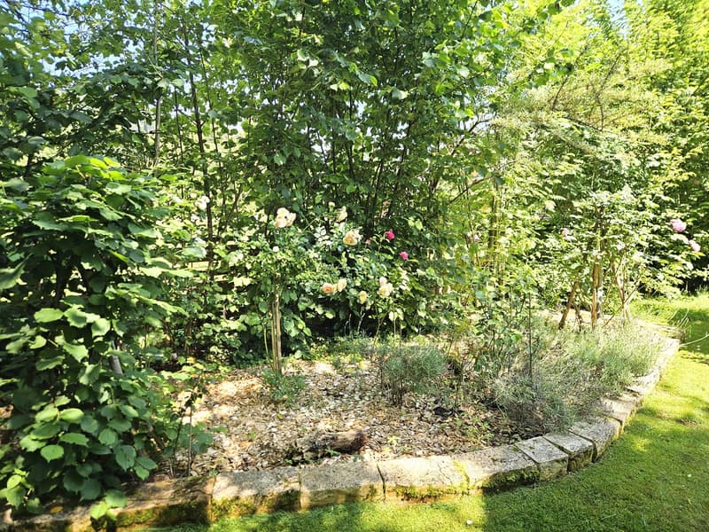 Grande casa colonica di 8,5 locali con giardino di stile parco (42)