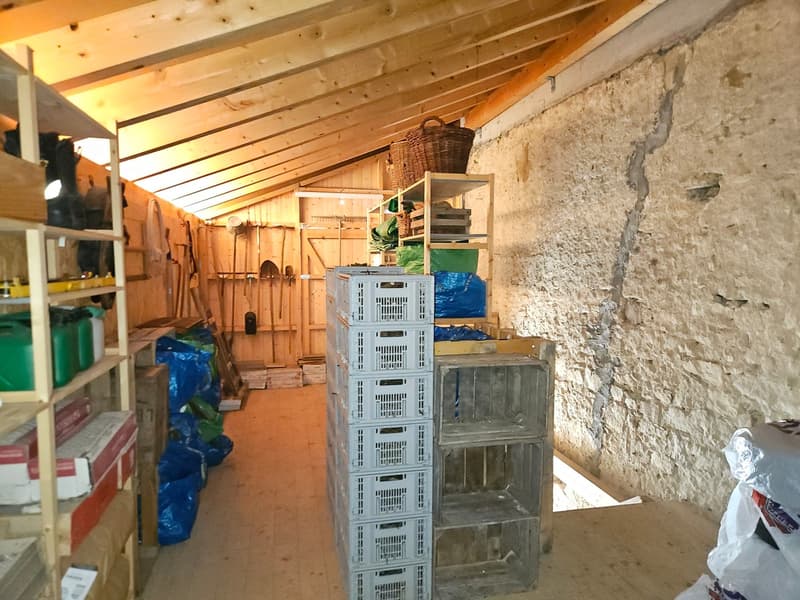 Storage room with wooden shelves, crates, baskets, and various items